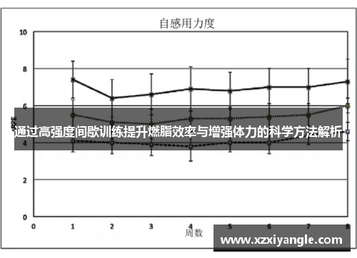 通过高强度间歇训练提升燃脂效率与增强体力的科学方法解析