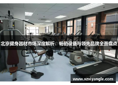 北京健身器材市场深度解析：畅销设备与领先品牌全面盘点