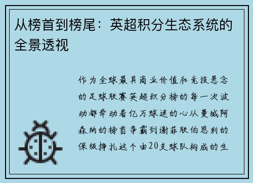 从榜首到榜尾：英超积分生态系统的全景透视
