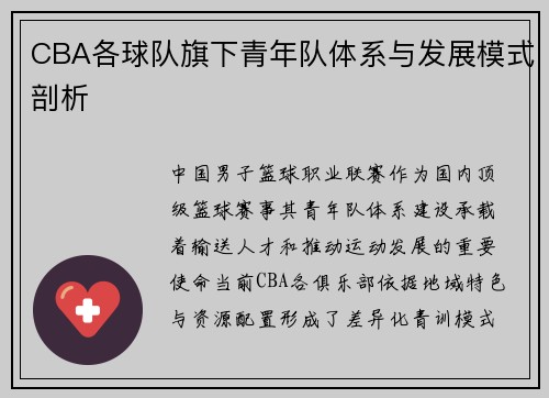 CBA各球队旗下青年队体系与发展模式剖析
